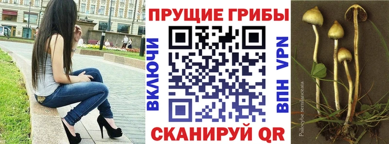 хочу наркоту  Ессентукская  ОМГ ОМГ ссылка  Галлюциногенные грибы мухоморы 