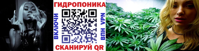 Бошки марихуана гибрид  закладки  Ессентукская 
